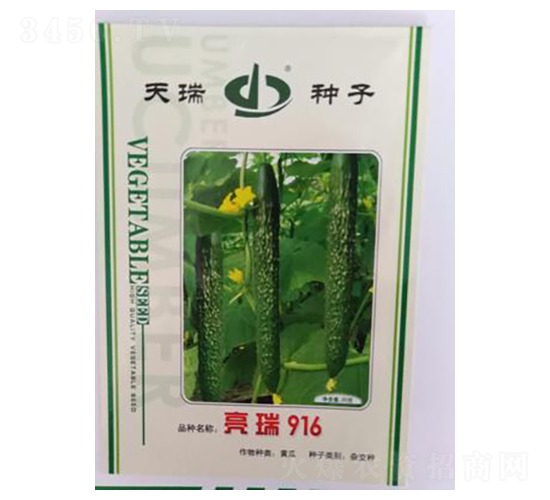 ����916-�S�ϷN��-����N��