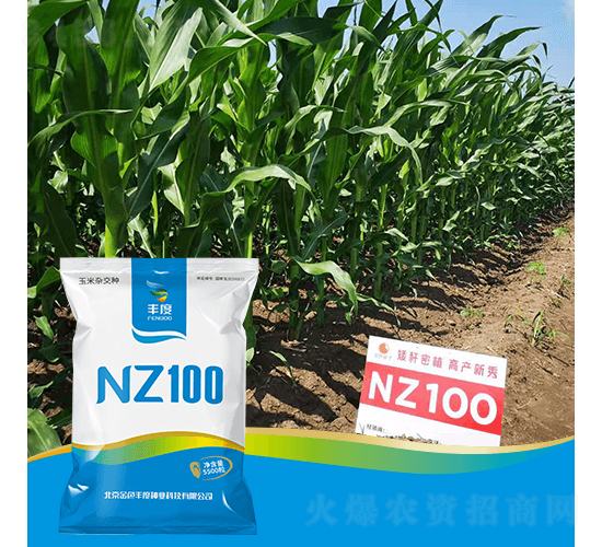 NZ100-���׷N��-�S�ȸ߿�