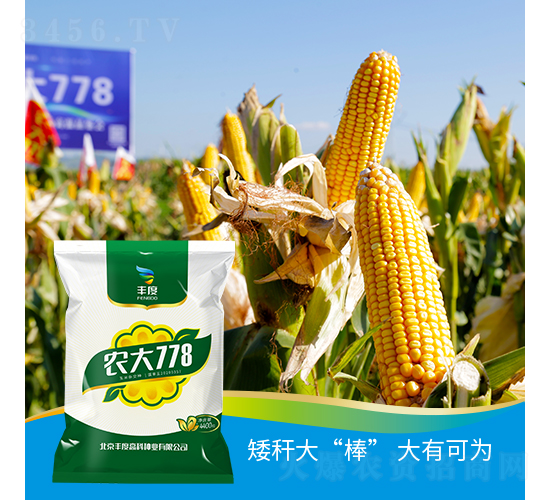 �r(n��ng)��778-���׷N��-�S�ȸ߿�