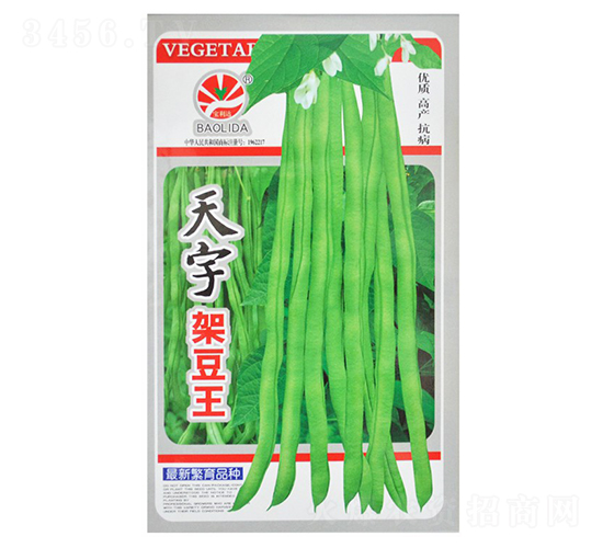 ����ܶ���-�ܶ��N��