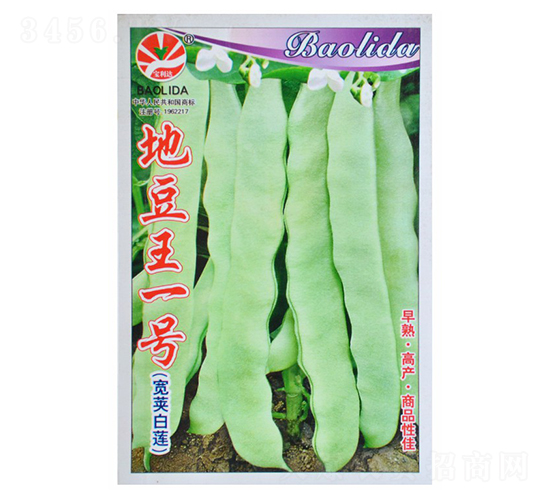 �ض���һ̖(h��o)�����v��ɏ��-�ܶ��N��