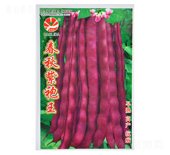 ����������-�|���N��