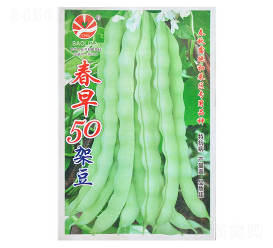 ����50�ܶ�-�|���N��