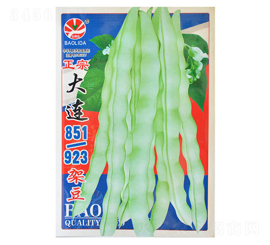 ���B851��923�ܶ�-�|���N��