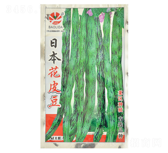 �ձ���Ƥ��-�|���N��