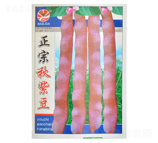 �������϶�-�|���N��