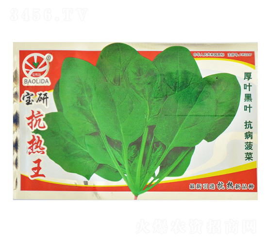 ���п�����-�~�˷N��