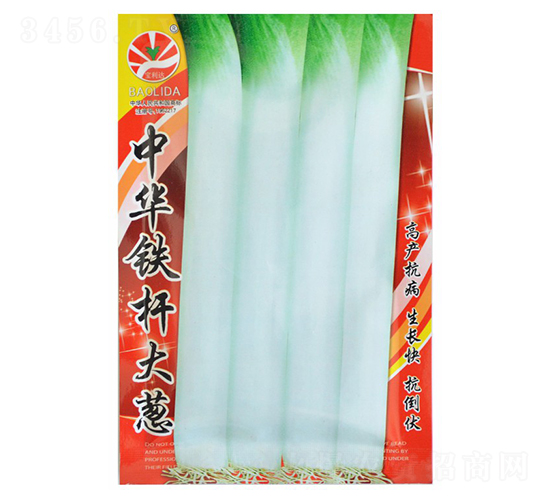 �F�U���[-���[�N��