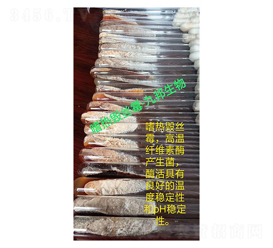 �ȟ��Ԃ�(c��)��ù-б��ԇ�ܾ��N-�Ű�����