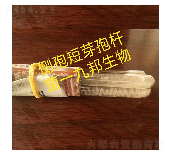 ��(c��)��ѿ�ߗU��-б��ԇ�ܾ�-�Ű�����