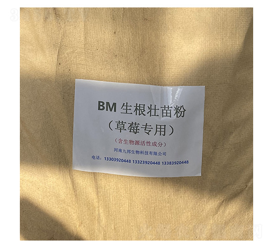 BM�������������ݮ���ã�-�Ű�����