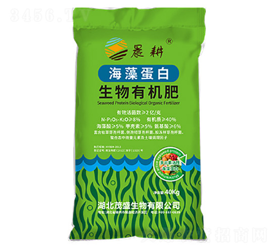 ���嵰�������ЙC(j��)��-ïʢ����