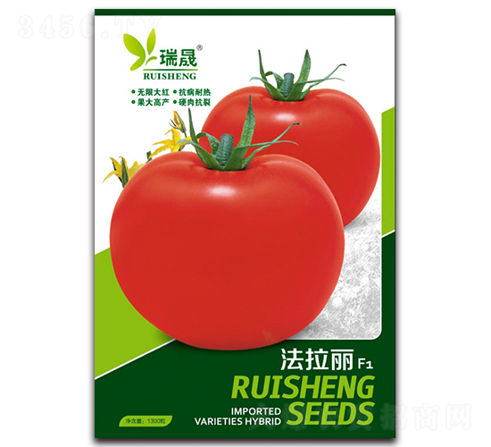 ������F1-���ѷN��-����