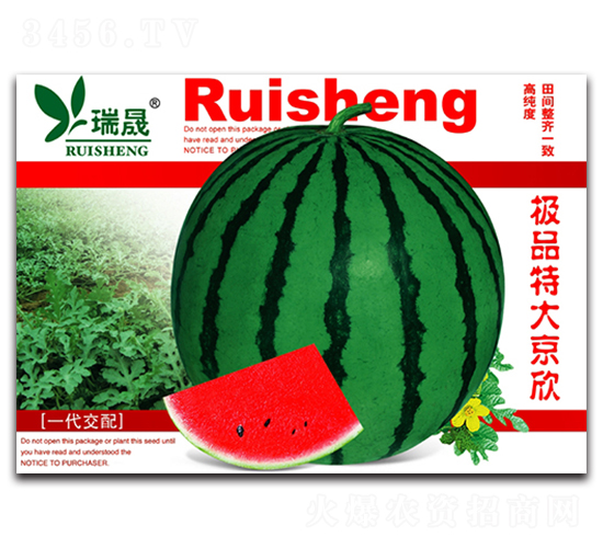 �ش���-���ϷN��-����