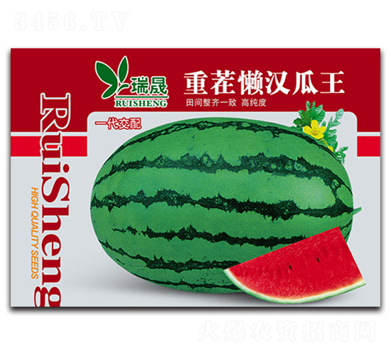 �ز�Нh����-���ϷN��-����