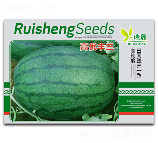 �߃�(y��u)�S��-���ϷN��-����