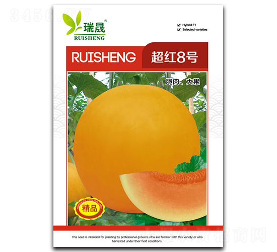 ���t8̖-��ϷN��-����