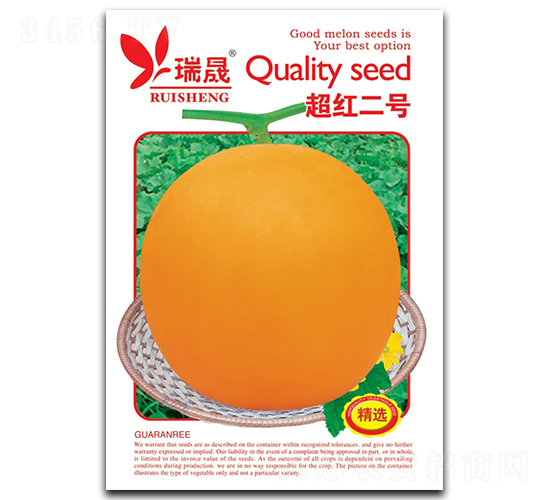 ���t��̖-��ϷN��-����