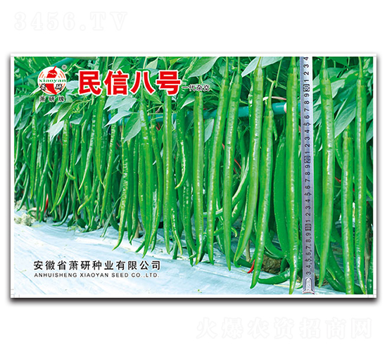 ���Ű�̖(h��o)-�����N��-ʒ�зN�I(y��)