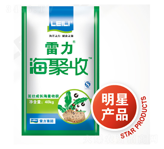 �����(f��)���w����-����������-��������