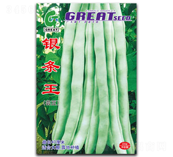 �y�l��-�|���N��-�V��