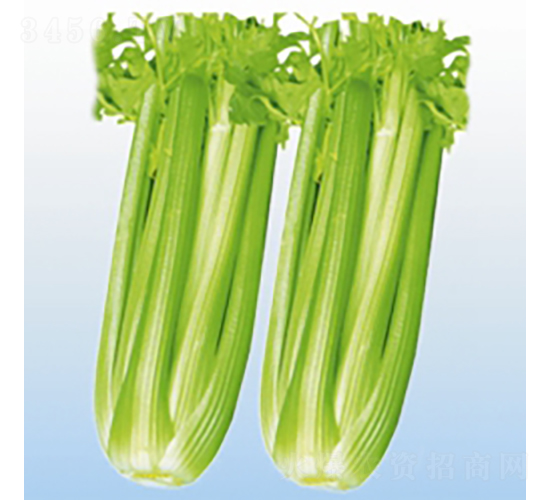 �S�ۼ�����-�۲˷N��-��Ʒ�r(n��ng)�I(y��)