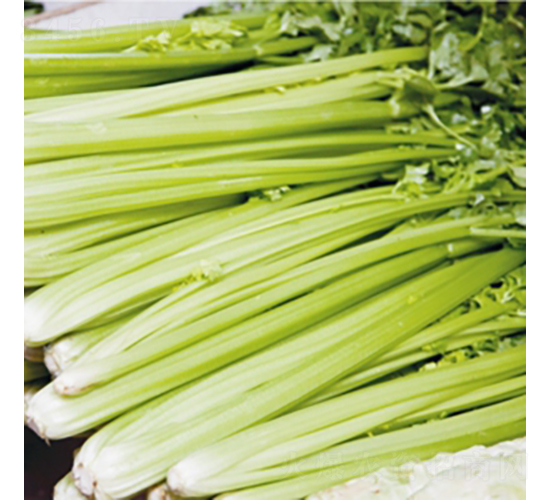 �G����-�۲˷N��-��Ʒ�r(n��ng)�I(y��)