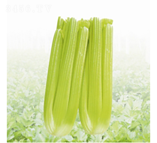 �W�޿���-�۲˷N��-��Ʒ�r(n��ng)�I(y��)