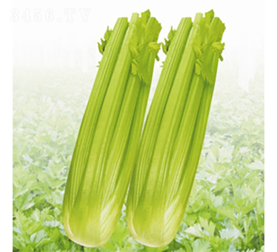 һƷ����-�۲˷N��-��Ʒ�r(n��ng)�I(y��)