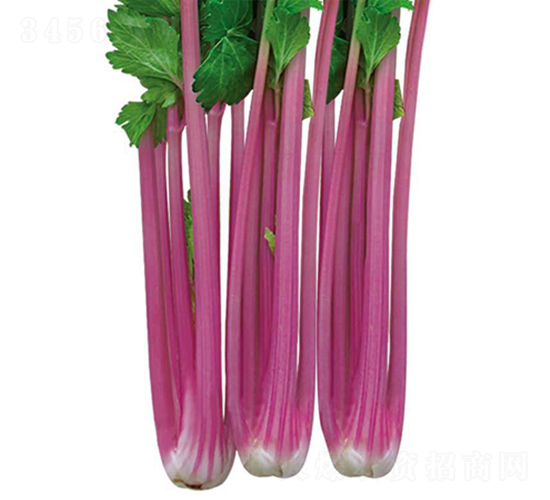 �����t��-�۲˷N��-��Ʒ�r(n��ng)�I(y��)