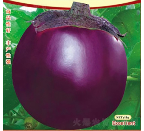 �t��(y��u)��̖-���ӷN��-��Ʒ�r(n��ng)�I(y��)