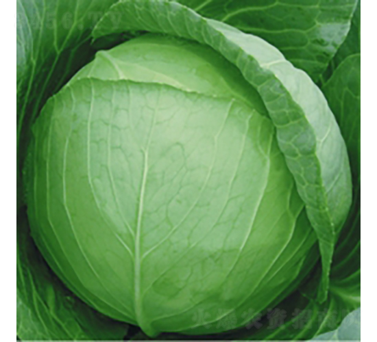 8688-���{�N��-��Ʒ�r(n��ng)�I(y��)