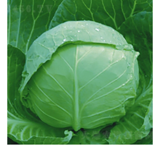 ���Բ���8132-���{�N��-��Ʒ�r(n��ng)�I(y��)