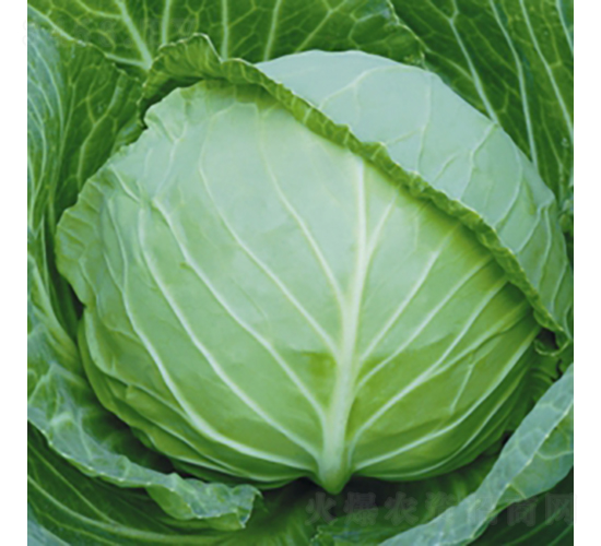 ���Բ����и�11-���{(l��n)�N��-��Ʒ�r(n��ng)�I(y��)