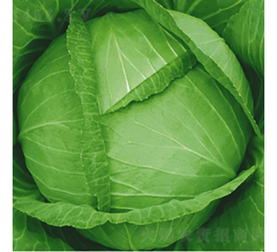 �������S-���{�N��-��Ʒ�r(n��ng)�I(y��)