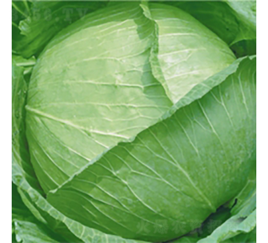 �ձ����S-���{(l��n)�N��-��Ʒ�r(n��ng)�I(y��)