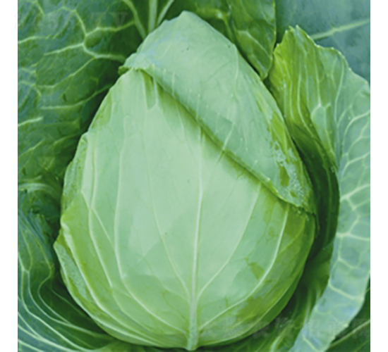 �������S-���{�N��-��Ʒ�r(n��ng)�I(y��)