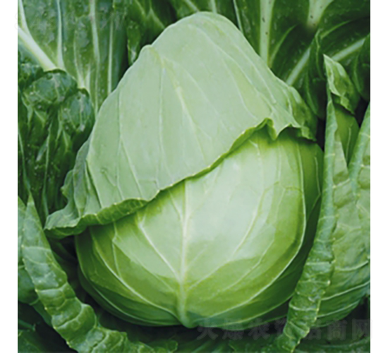 �������S-���{(l��n)�N��-��Ʒ�r(n��ng)�I(y��)