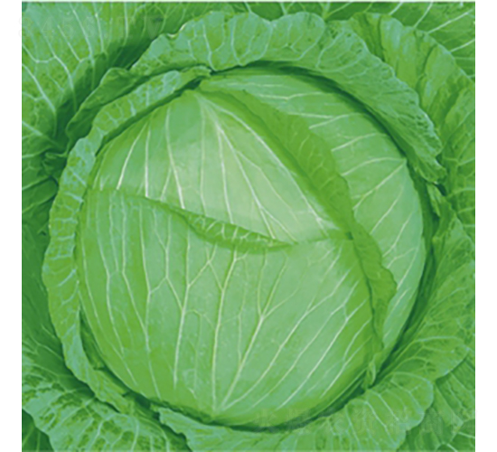 ���顪60-���{(l��n)�N��-��Ʒ�r(n��ng)�I(y��)