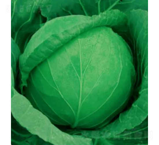 �߿�60-���{(l��n)�N��-��Ʒ�r(n��ng)�I(y��)