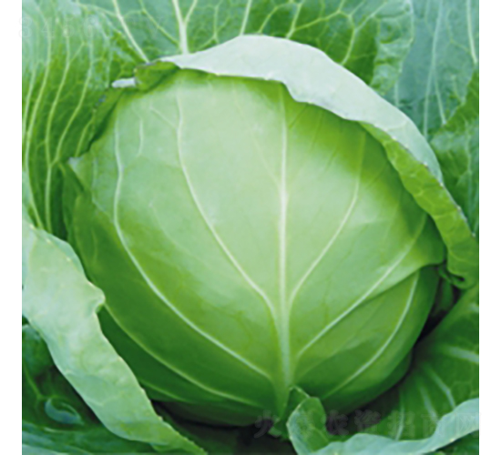 �����F�^-���{(l��n)�N��-��Ʒ�r(n��ng)�I(y��)