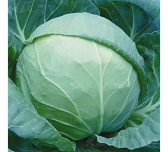 �h�|90-���{�N��-��Ʒ�r(n��ng)�I(y��)