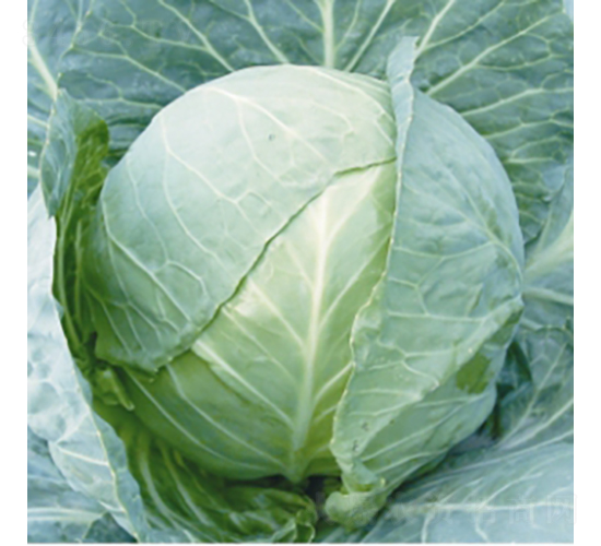 �h(yu��n)�|70-���{(l��n)�N��-��Ʒ�r(n��ng)�I(y��)