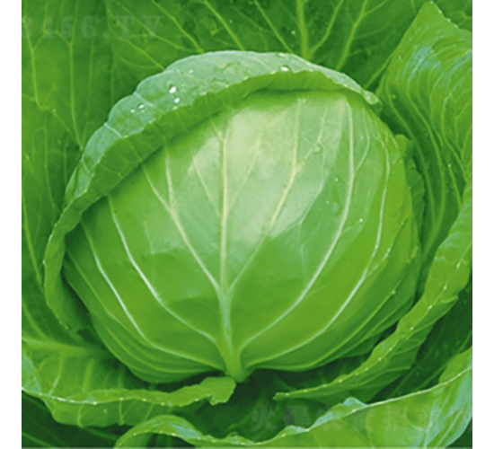 ��Ʒ������-���{�N��-��Ʒ�r(n��ng)�I(y��)