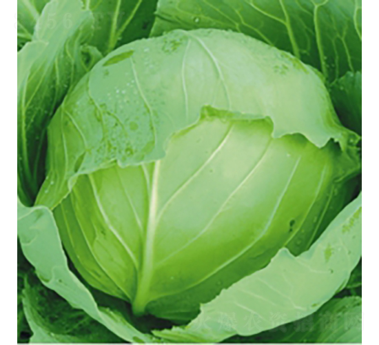 ����21-���{�N��-��Ʒ�r(n��ng)�I(y��)