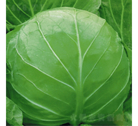 �̾G���{-���{�N��-��Ʒ�r(n��ng)�I(y��)