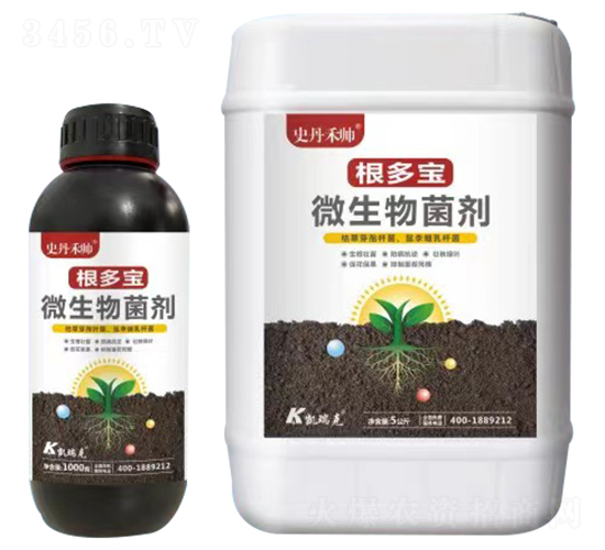 ������΢�������-ʷ���̎�-�P���