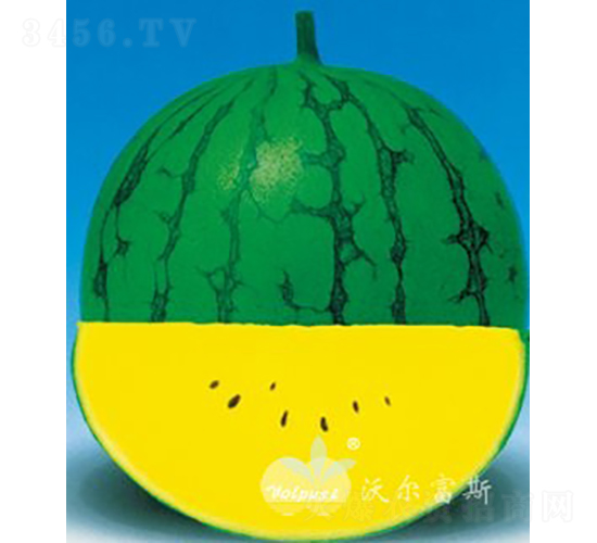 �S����F1�����N�S��YƷ���ϣ�-���ϷN��-�֠���˹