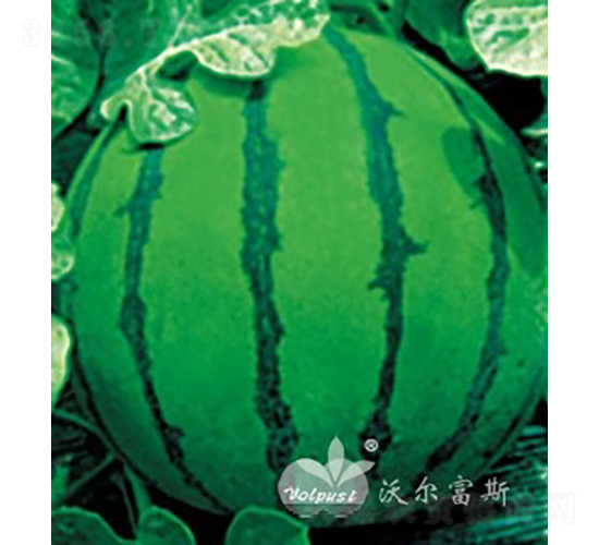 ���o(j��)���hF1�������(l��i)�߮a(ch��n)���컨Ƥ���ϣ�-���ϷN��-�֠���˹