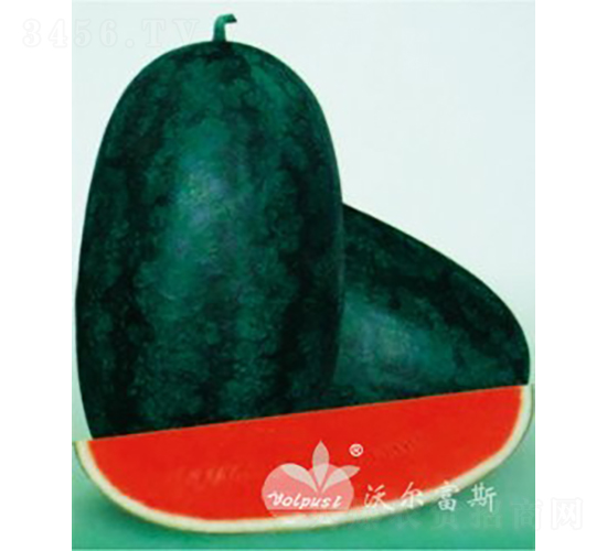 �_(t��i)�����������F1���߮a(ch��n)���N(xi��o)��Ƥ�YƷ���ϣ�-���ϷN��-�֠���˹